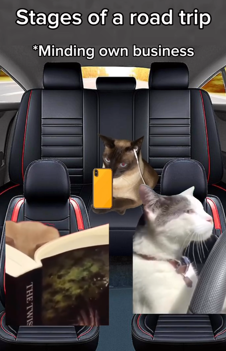Stages of a road trip *Minding own business THE TWIS