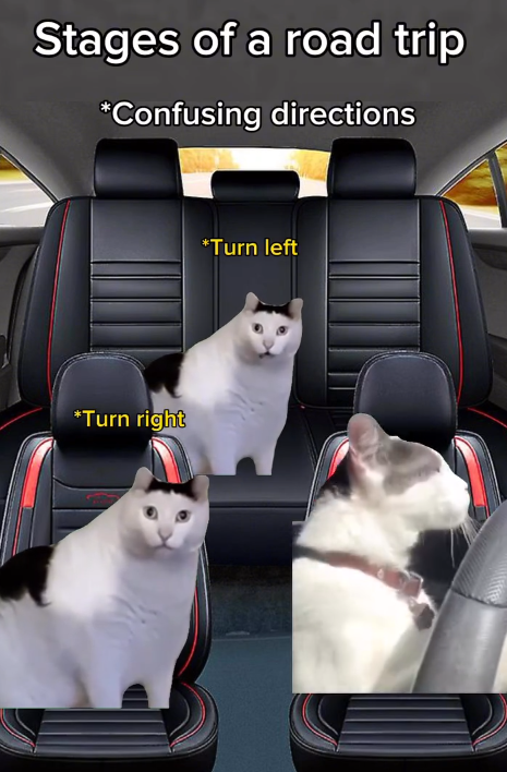 Stages of a road trip *Confusing directions *Turn right *Turn left