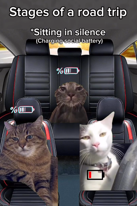 Stages of a road trip *Sitting in silence (Charging social battery) %WI %Ⅲ