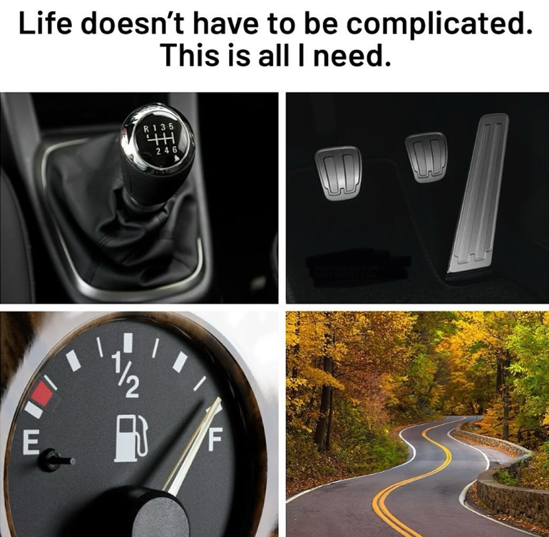 Life doesn't have to be complicated. This is all I need. I R135 TH 246 E F DUTOMATIC