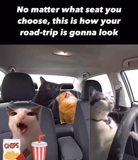 CHIPS No matter what seat you choose, this is how your road-trip is gonna look
