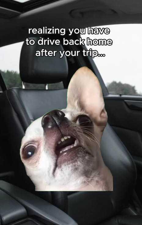 realizing you have to drive back home after your trip...