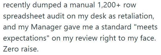 recently dumped a manual 1,200+ row spreadsheet audit on my desk as retaliation, and my Manager gave me a standard "meets expectations" on my review right to my face. Zero raise.
