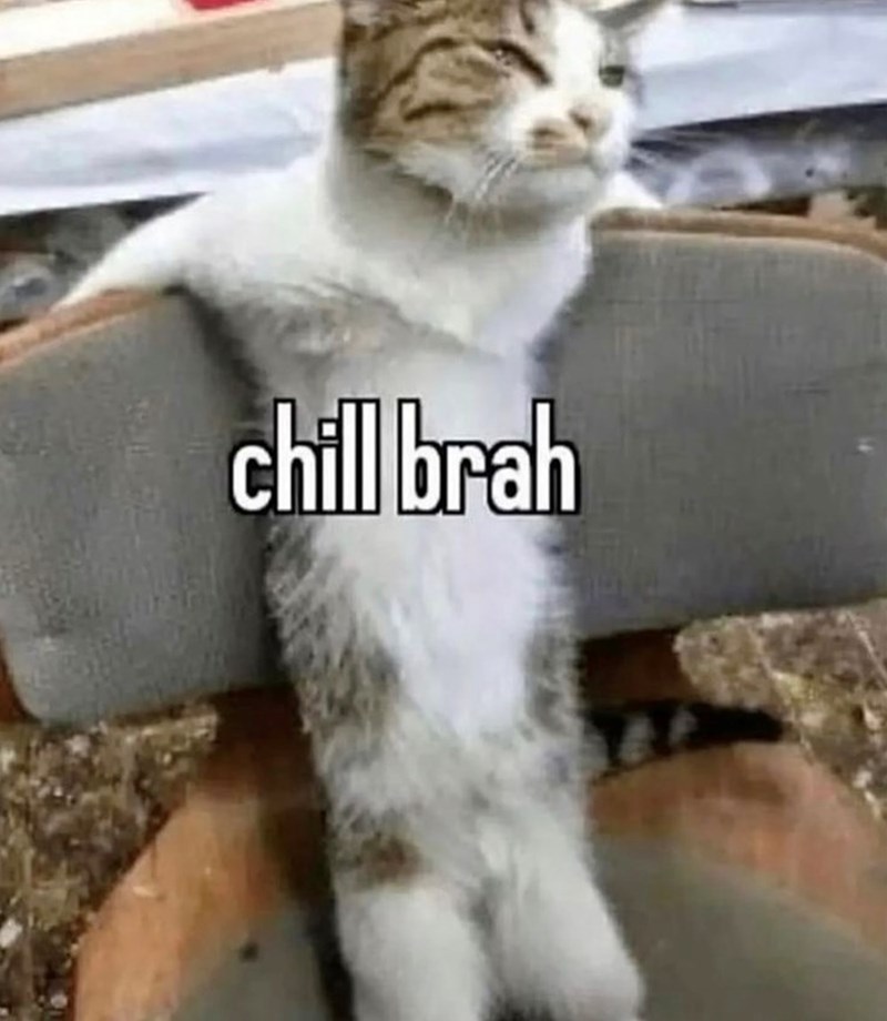 chill brah