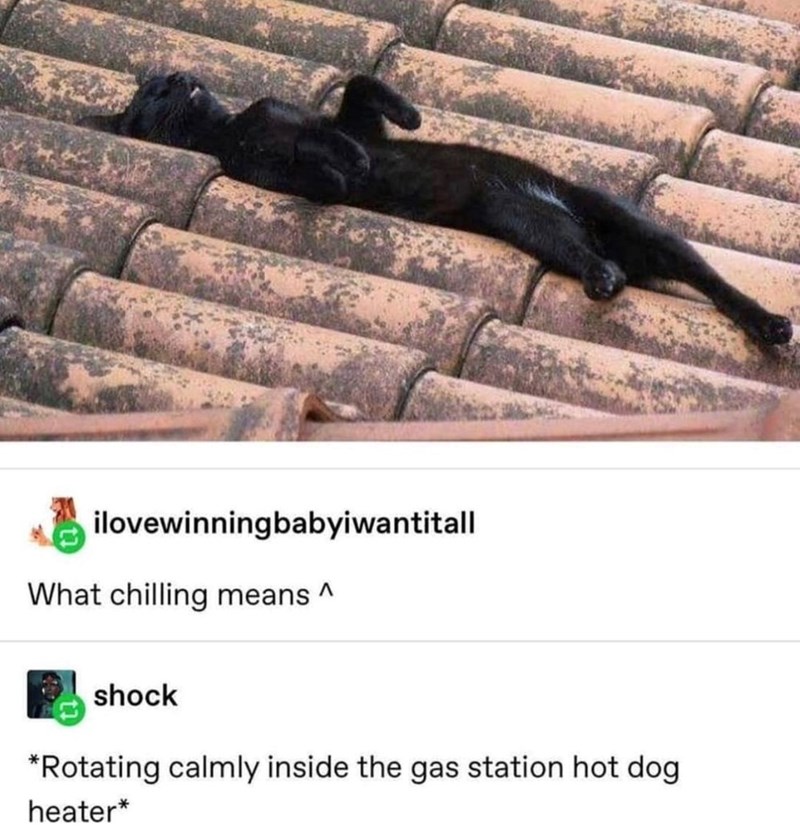ilovewinningbabyiwantitall What chilling means ^ shock *Rotating calmly inside the gas station hot dog heater*
