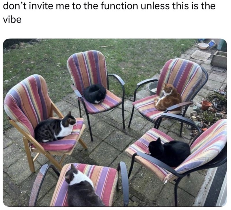 don't invite me to the function unless this is the vibe