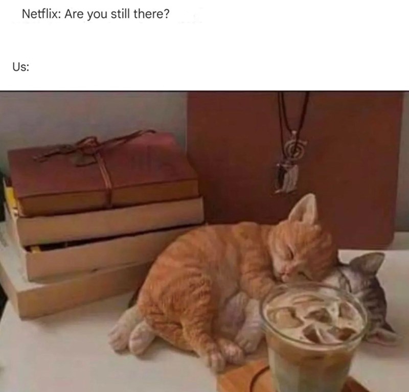 Netflix: Are you still there? Us: