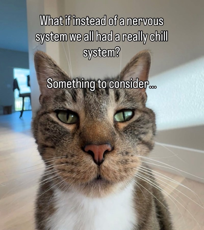 What if instead of a nervous system we all had a really chill system? Something to consider...