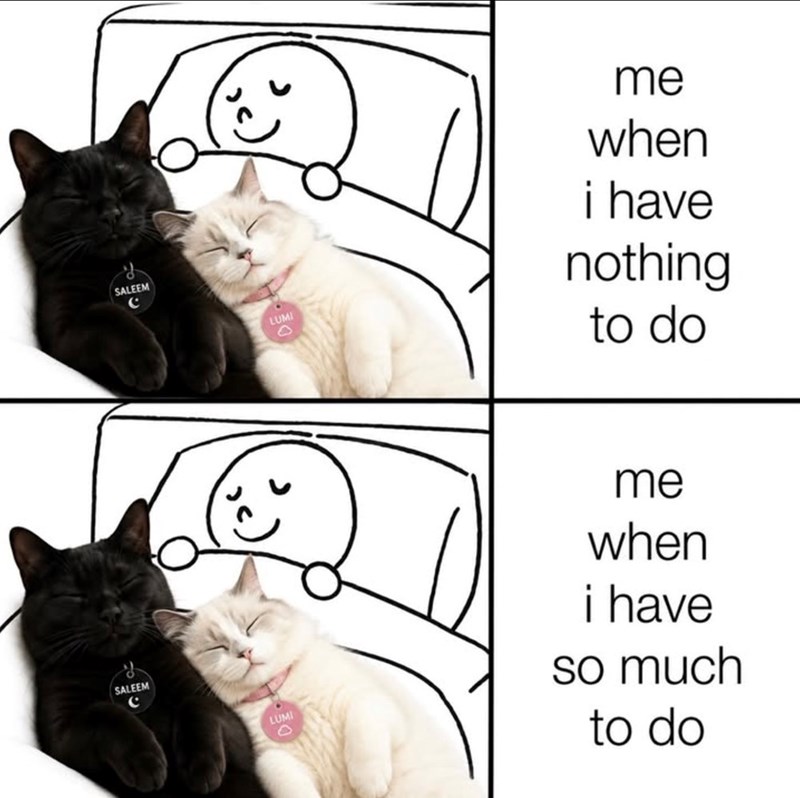 SALEEM C SALEEM LUMI D LUMI D me when i have nothing to do me when i have so much to do