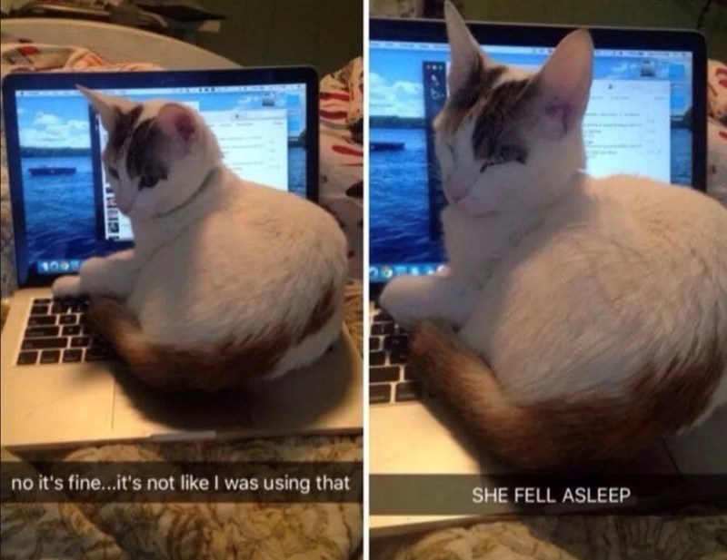 no it's fine...it's not like I was using that SHE FELL ASLEEP