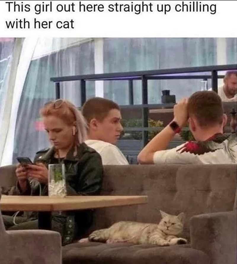 This girl out here straight up chilling with her cat