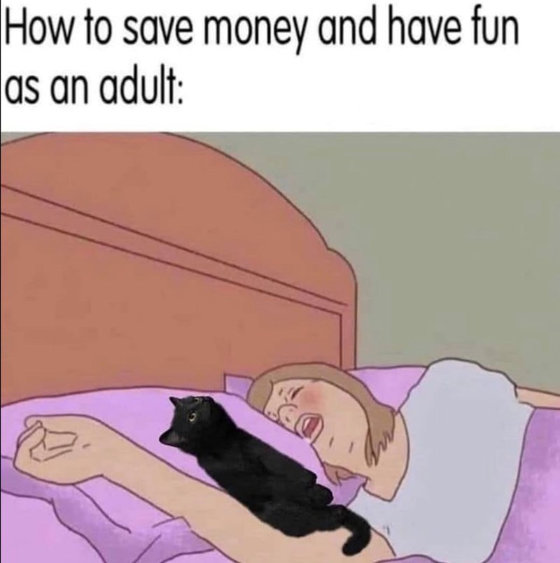 How to save money and have fun as an adult: