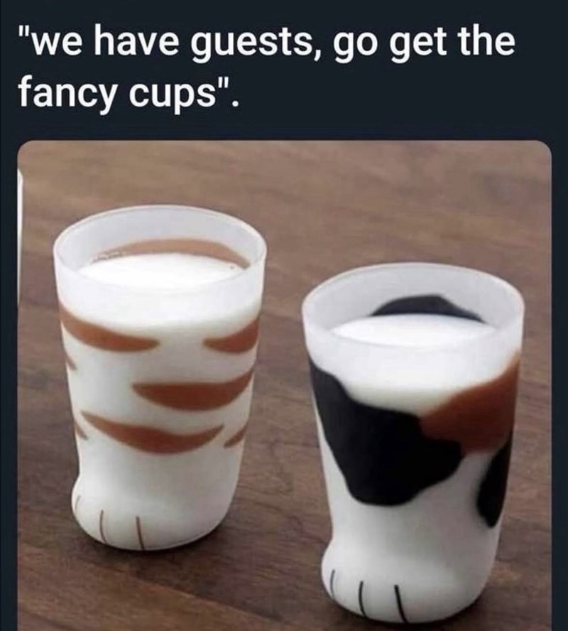 "we have guests, go get the fancy cups".