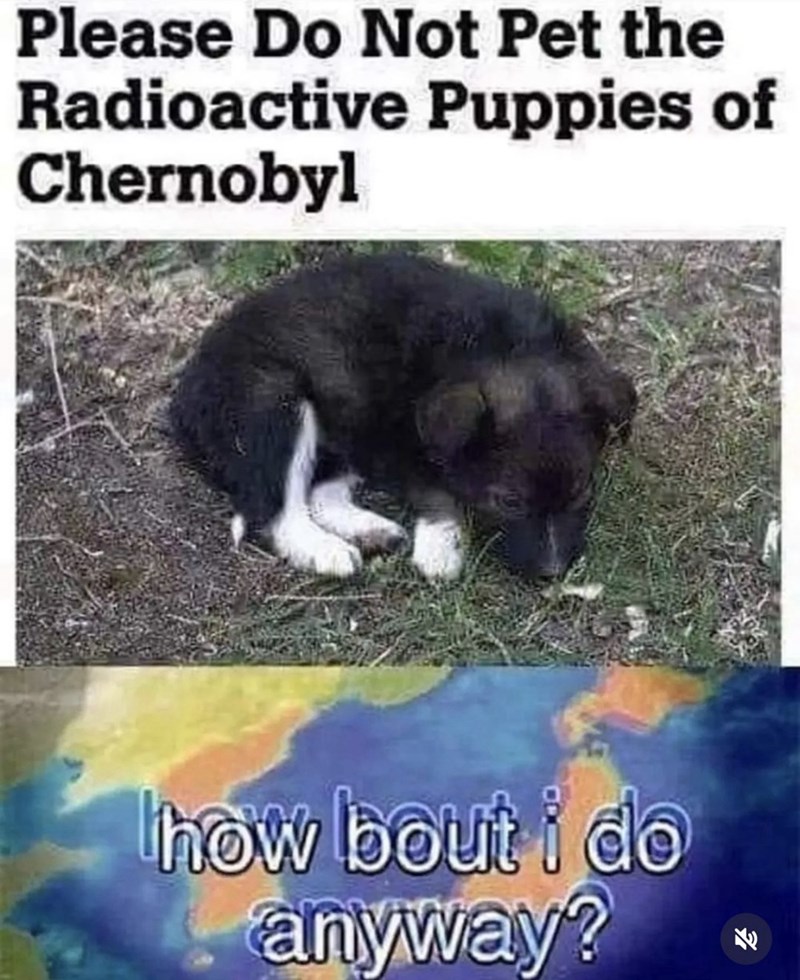 Please Do Not Pet the Radioactive Puppies of Chernobyl how bout i do anyway?
