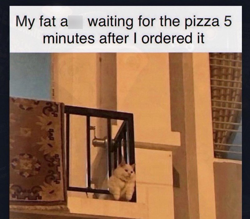 My fat a waiting for the pizza 5 minutes after I ordered it