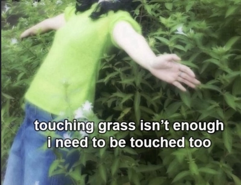 touching grass isn't enough i need to be touched too