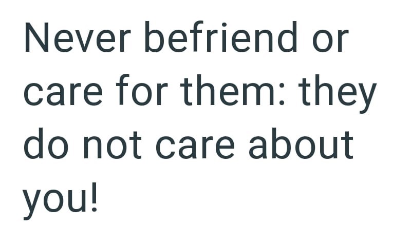 Never befriend or care for them: they do not care about you!