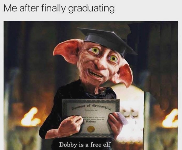 Me after finally graduating Diploma of Graduation Btylema Dobby is a free elf