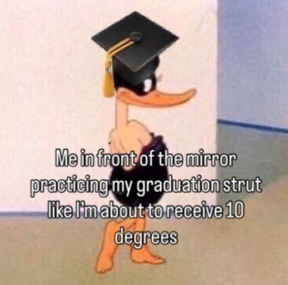 Me in front of the mirror practicing my graduation strut like I'm about to receive 10 degrees