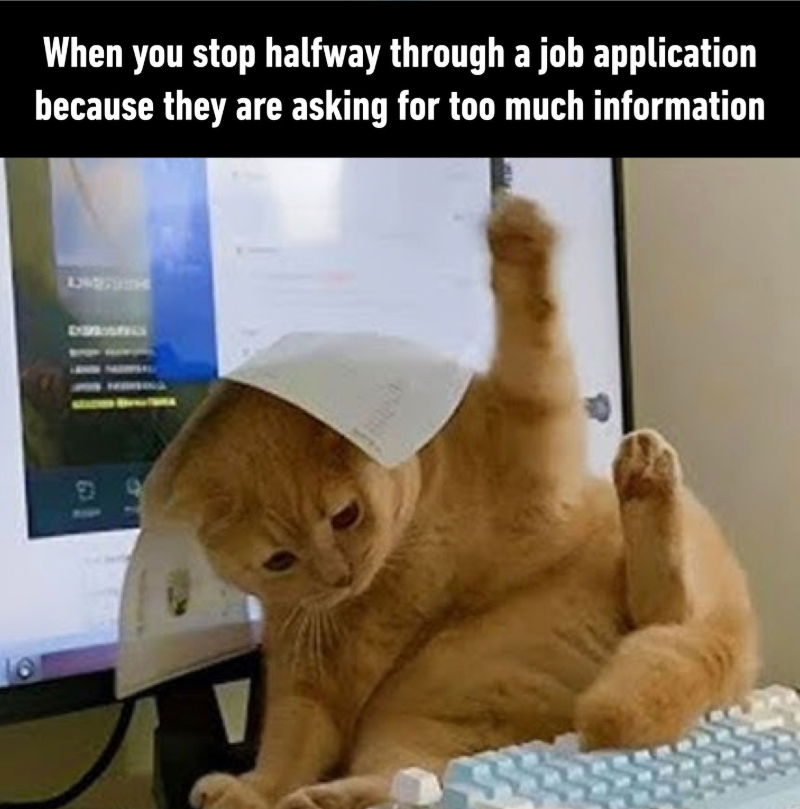 16 When you stop halfway through a job application because they are asking for too much information B