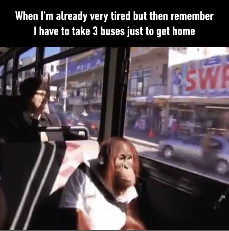 When I'm already very tired but then remember I have to take 3 buses just to get home SW