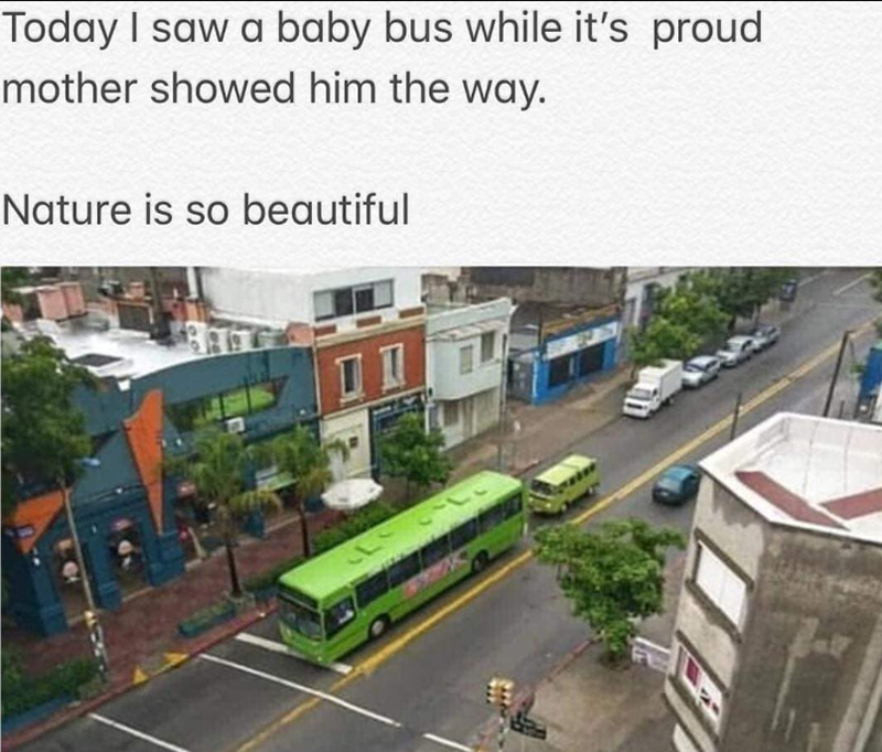 Today I saw a baby bus while it's proud mother showed him the way. Nature is so beautiful