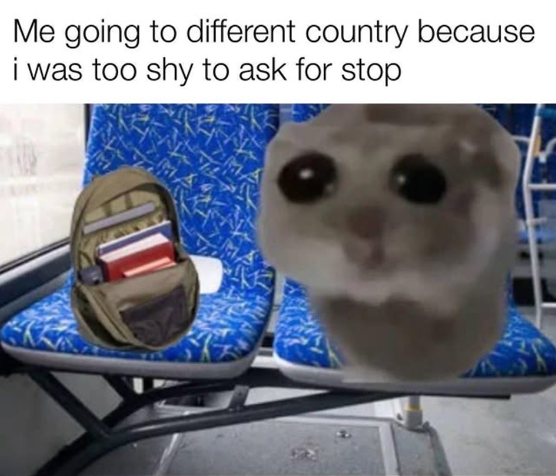 Me going to different country because i was too shy to ask for stop