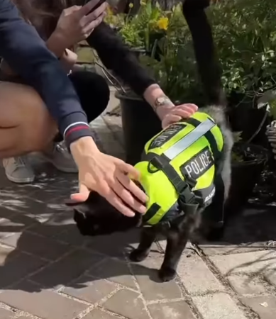 POLICE
