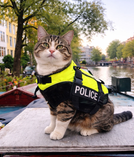 POLICE