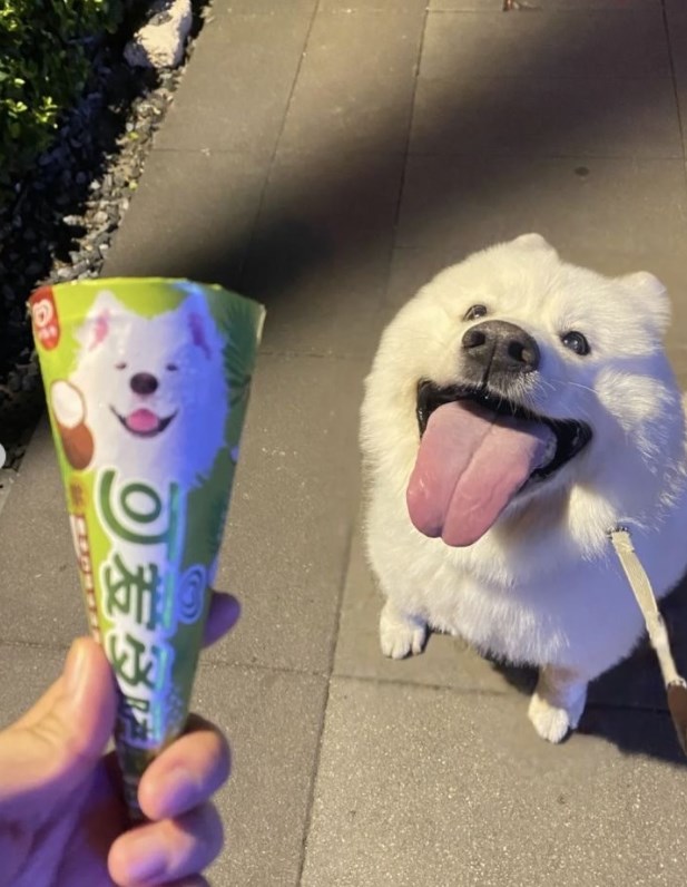 0 若受味