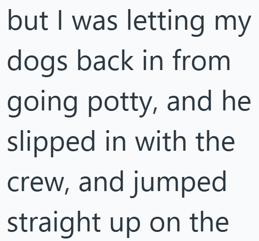 but I was letting my dogs back in from going potty, and he slipped in with the crew, and jumped straight up on the