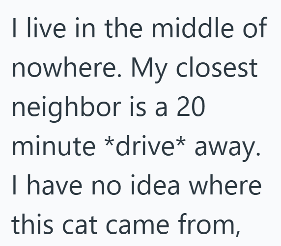 I live in the middle of nowhere. My closest neighbor is a 20 minute *drive* away. I have no idea where this cat came from,