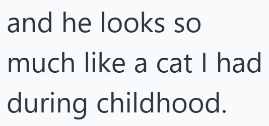 and he looks so much like a cat I had during childhood.