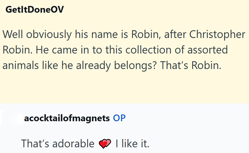GetltDoneOV Well obviously his name is Robin, after Christopher Robin. He came in to this collection of assorted animals like he already belongs? That's Robin. acocktailofmagnets OP That's adorable I like it.