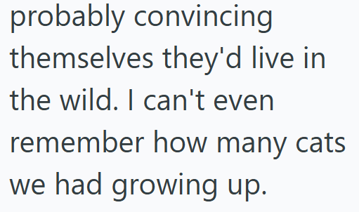 probably convincing themselves they'd live in the wild. I can't even remember how many cats. we had growing up.