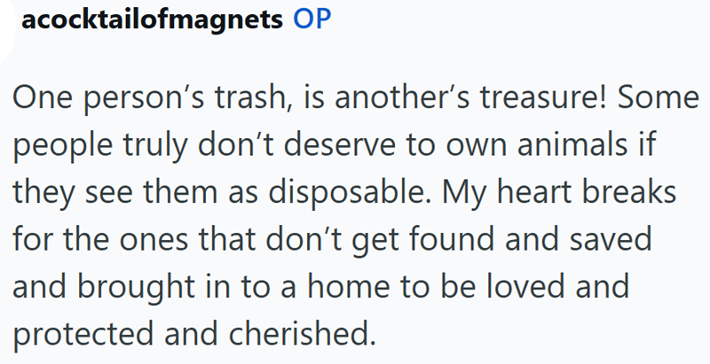 acocktailofmagnets OP One person's trash, is another's treasure! Some people truly don't deserve to own animals if they see them as disposable. My heart breaks for the ones that don't get found and saved and brought in to a home to be loved and protected and cherished.