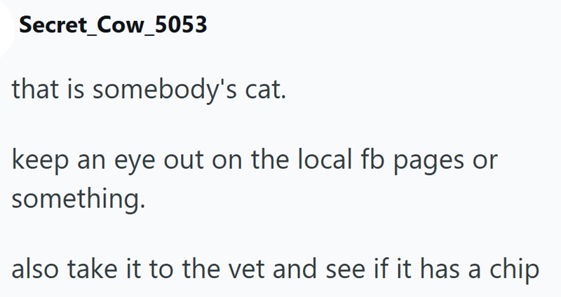 Secret_Cow_5053 that is somebody's cat. keep an eye out on the local fb pages or something. also take it to the vet and see if it has a chip