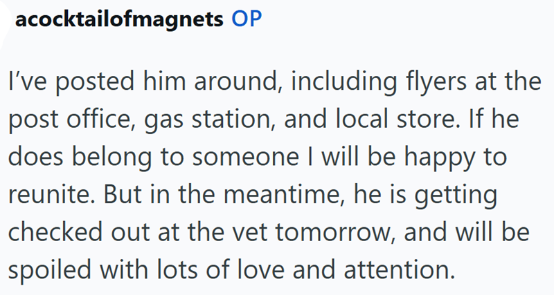 acocktailofmagnets OP I've posted him around, including flyers at the post office, gas station, and local store. If he does belong to someone I will be happy to reunite. But in the meantime, he is getting checked out at the vet tomorrow, and will be spoiled with lots of love and attention.