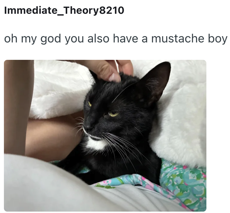 Immediate Theory8210 oh my god you also have a mustache boy