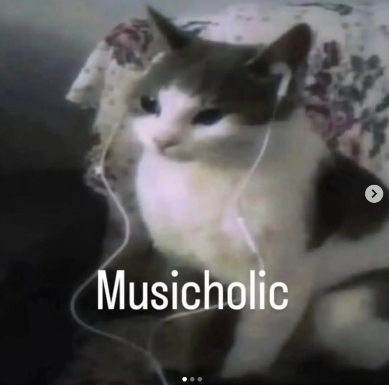 Musicholic >