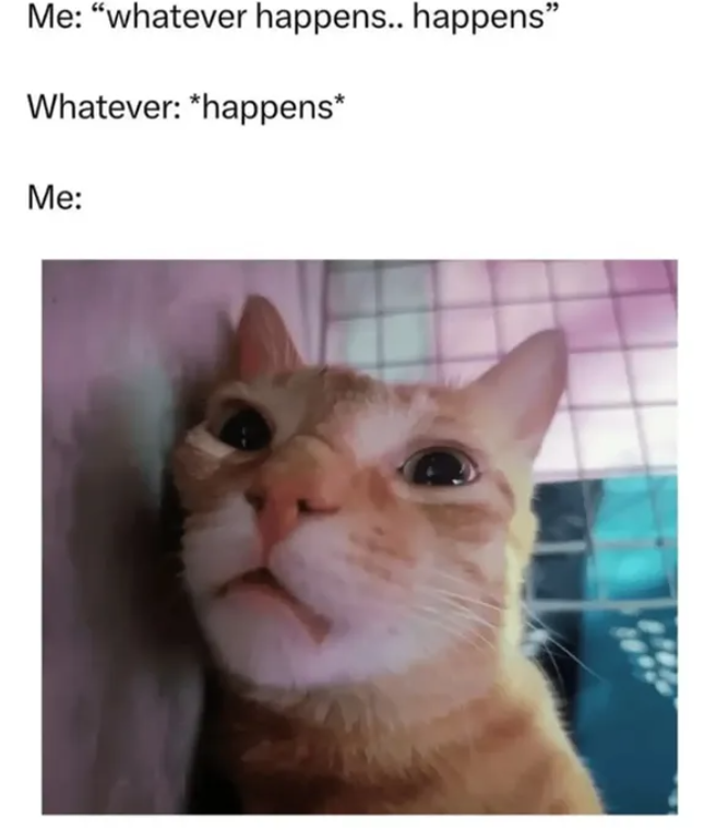 Me: "whatever happens.. happens" Whatever: *happens* Me:
