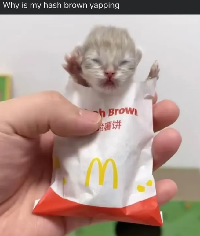 Why is my hash brown yapping h Brown 危薯饼 M