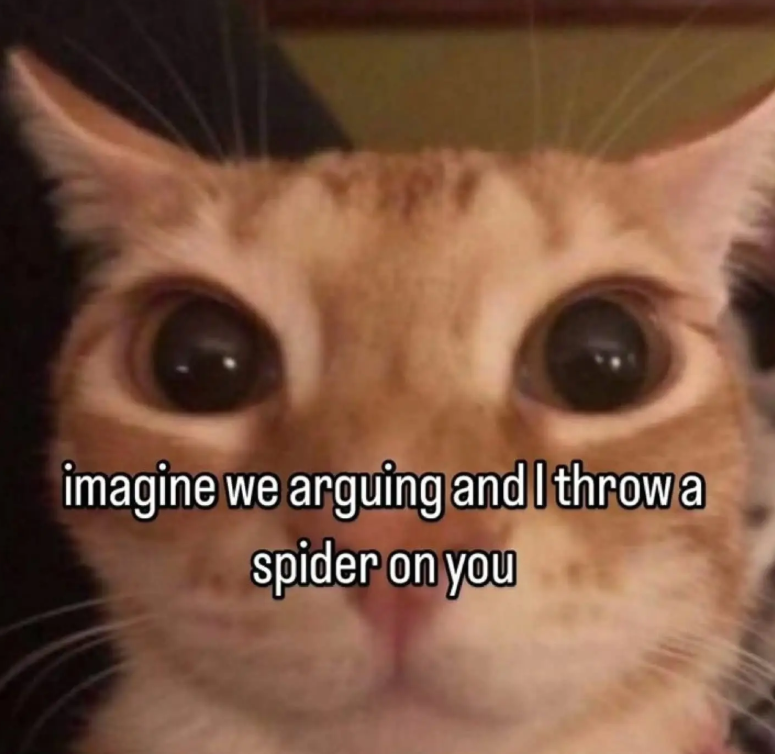 imagine we arguing and I throw a spider on you
