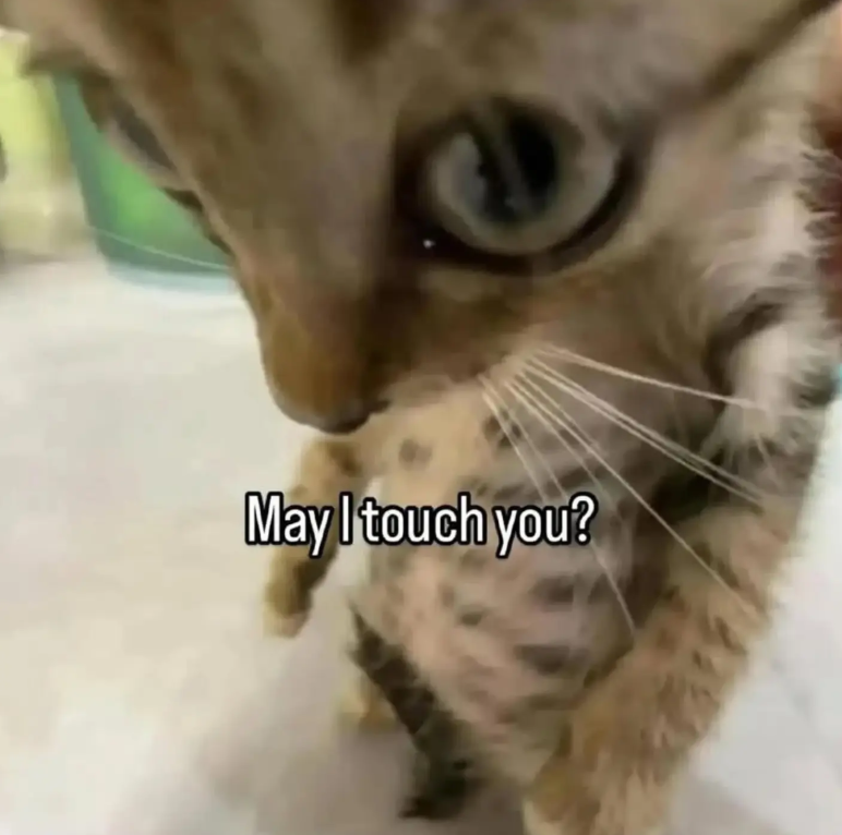 May I touch you?