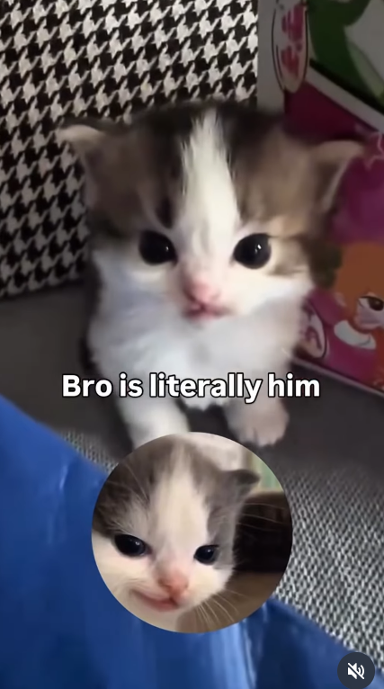 Bro is literally him
