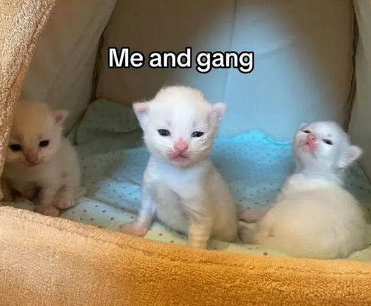 Me and gang