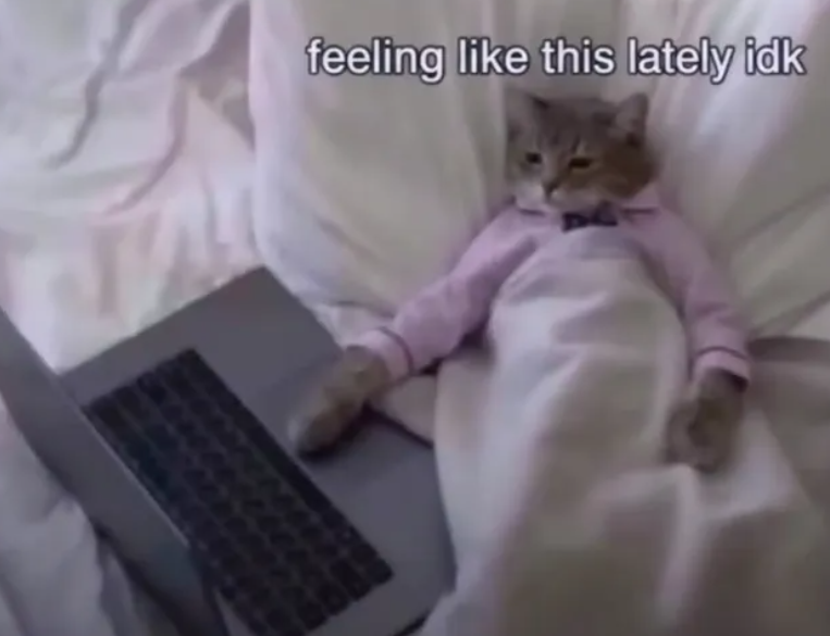 feeling like this lately idk
