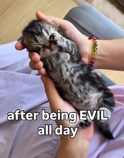 after being EVIL all day