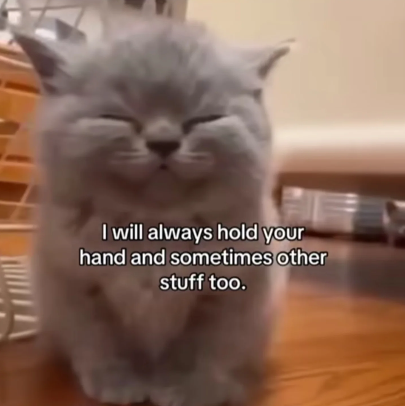 I will always hold your hand and sometimes other stuff too.