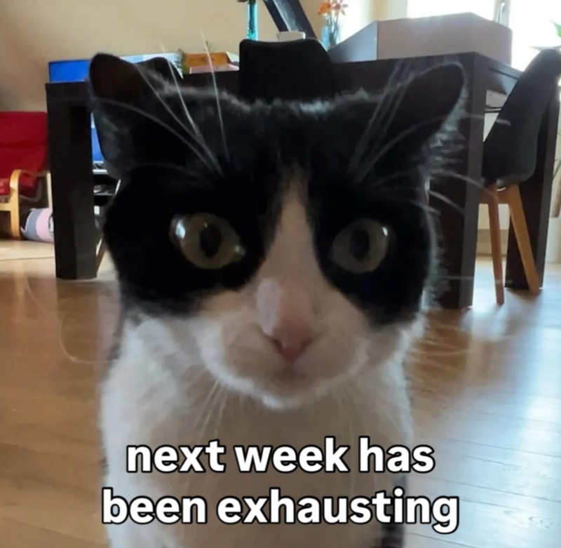 next week has been exhausting